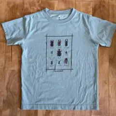 モンベル 半袖tシャツ 昆虫 カブトムシ