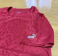 Item thumbnail for item 10445f7a-b651-4383-bd62-d7c504ee2721