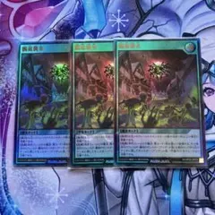 MTG 破滅的な行為 日本語版 3枚セット - メルカリ