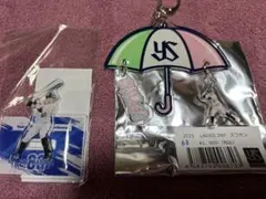 東京ヤクルトスワローズ#63増田選手グッズセット