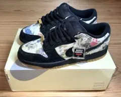 Supreme Nike SB Dunk Low Rammellzee