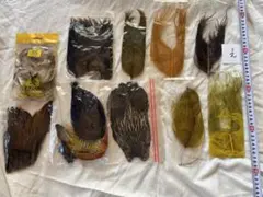 Item thumbnail for item 1381bdd2-c0b0-4b63-bfb0-5e6e323a3052