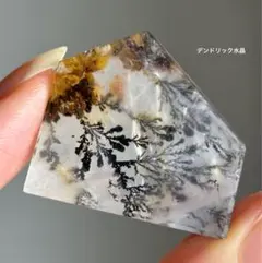 高品質　デンドリック水晶　ゴールデンヒーラー　フリーフォーム　デンドリ