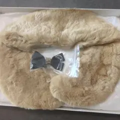 Item thumbnail for item 9cb387de-ddb4-40b8-a99d-2d96375958b1