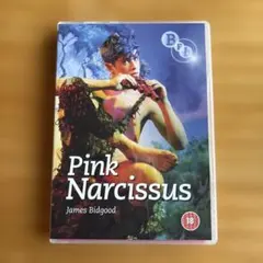 ピンククラウド DVD BRAIN MASSAGE 検索：Char チャー ピンククラウド DVD BRAIN MASSAGE 検索：Char チャー - メルカリ