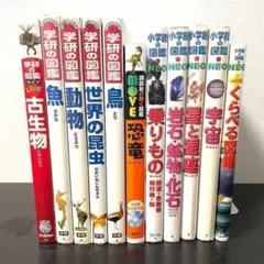講談社の動く図鑑MOVE10冊セット 全巻DVDあり‼️ - メルカリ