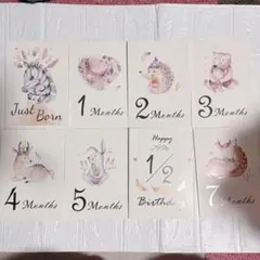 Item thumbnail for item ddaea23d-ff31-4673-94c2-4270d46468eb