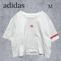 589【アディダス】半袖クロップドT ショート丈 チビT ロゴ ホワイト 韓国