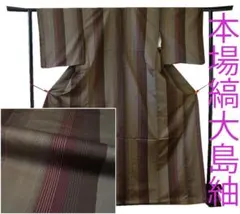 値下げ交渉ＯＫ！縞柄 本場縞大島紬 紬着尺 正絹 Ｂ６９３