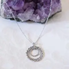 ステンレス・テンソルリングネックレス