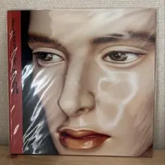 ドレスコーズ　平凡　レコード