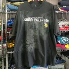 USA古着 肉厚生地 NFL ミネソタ・バイキングス Ｔシャツ