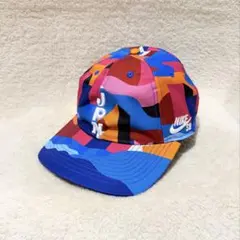 NIKE SB キャップ ISHOD WAIR マルチカラー ストリート