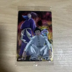 HUNTER×HUNTERイタジャガ シュート&ナックル トレーディングカード