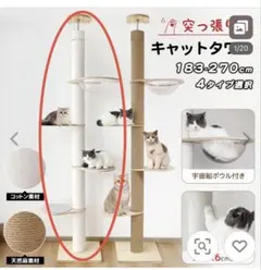 キャティマン Nekoリング キャティボールハンモック - メルカリ