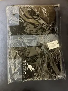 Item thumbnail for item 36ad2409-1358-47a8-96cb-f52fc58c6bb5