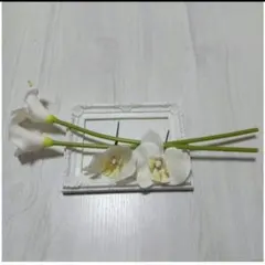 イルカ様 リクエスト 2点 まとめ商品