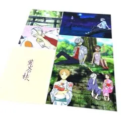 蛍火の社へ 夏目友人帳 初回限定 特典 ポストカード 全種類セット