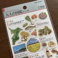 《正規品》大人の図鑑シール　千葉編