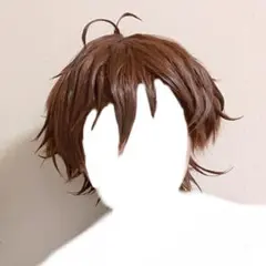 コスプレ ウィッグ 守沢千秋 あんさんぶるスターズ あんスタ