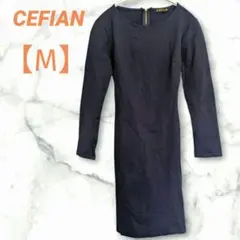 Item thumbnail for item 3a2aacec-7e25-4aab-a68f-3393f0cd470d