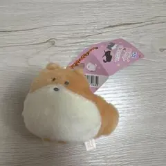 2026年最新】つぶらな瞳の犬と猫の人気アイテム - メルカリ