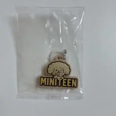 【新品未使用】MINITEEN ミニティーン ドギョム ガチャ めじるし ドア