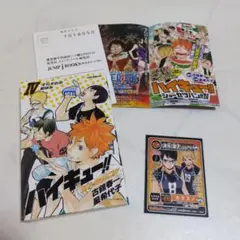 ハイキュー!! ショーセツバン!! IV 　特典カード付