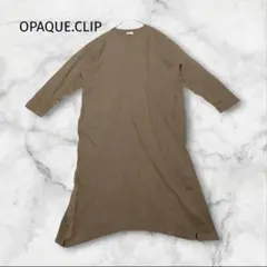 オペークドットクリップ ロング ワンピース ブラウン 長袖 記念シャツ