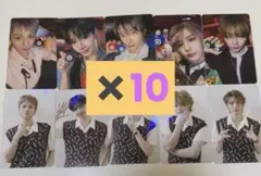 BOYNEXTDOOR BOYLIFE 通常盤 トレカ 12種コンプ ×10