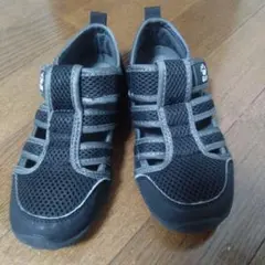 Item thumbnail for item ddd0d6c9-2aef-4655-a847-aa2c0557bed5