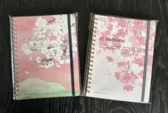 Item thumbnail for item b2f4efb0-a2ac-47fd-acc1-8f821e281cb7