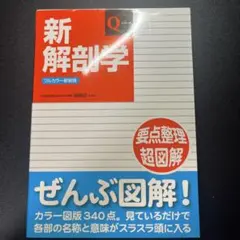 Item thumbnail for item 56d159d2-f2c8-49c6-9e80-9fdf24bdfff7