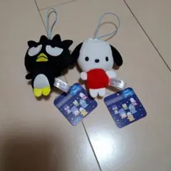 はぴだんぶい ばつ丸 ポチャッコ