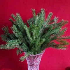 ドイツ クリスマス