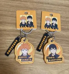ハイキュー！！日向翔陽+影山飛雄キーホルダー