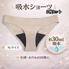 吸水ショーツ 2枚セット XLサイズ 生理 おりもの対策
