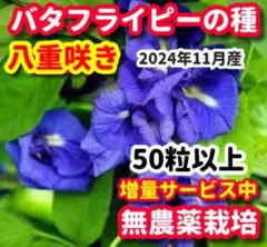 Audy様 リクエスト 2点 まとめ商品