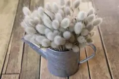 Item thumbnail for item f4f5b090-0295-4497-8e10-49bd3a006ad9