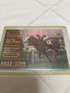 Biwa Hayahide サラブレッドカード0957/1500