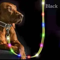 光るリード USB LEDライト 犬用 リード ブラック 夜 お散歩 安全 新品