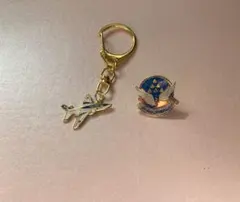 ブルーインパルス