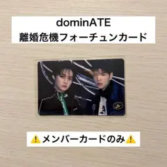 Stray Kids dominATE リノ スンミン　フォーチュンカード