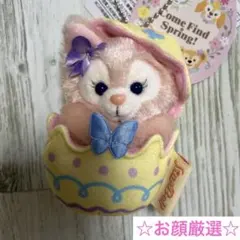 東京ディズニーシー カムファインドスプリング リーナベル　ぬいぐるみチャーム