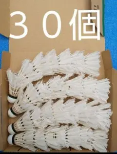 シャトル バドミントン