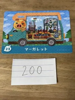 ☆みっちー《植物発送(月)(火)のみ》☆様 リクエスト 2点 まとめ商品