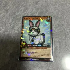 レスキューラビット