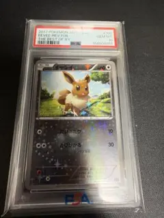 이브이 xy 미러 PSA10 THE BEST OF XY 100/171