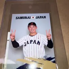 Item thumbnail for item 84fcfe0c-5c78-40e6-8710-4bc584c82421