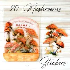 Item thumbnail for item 33b72876-5cd2-4b54-b54d-2e35ab0c2c0b